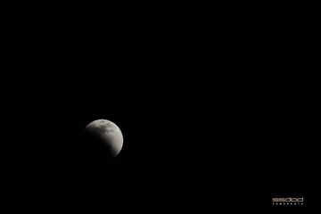 DSC_1392.jpg