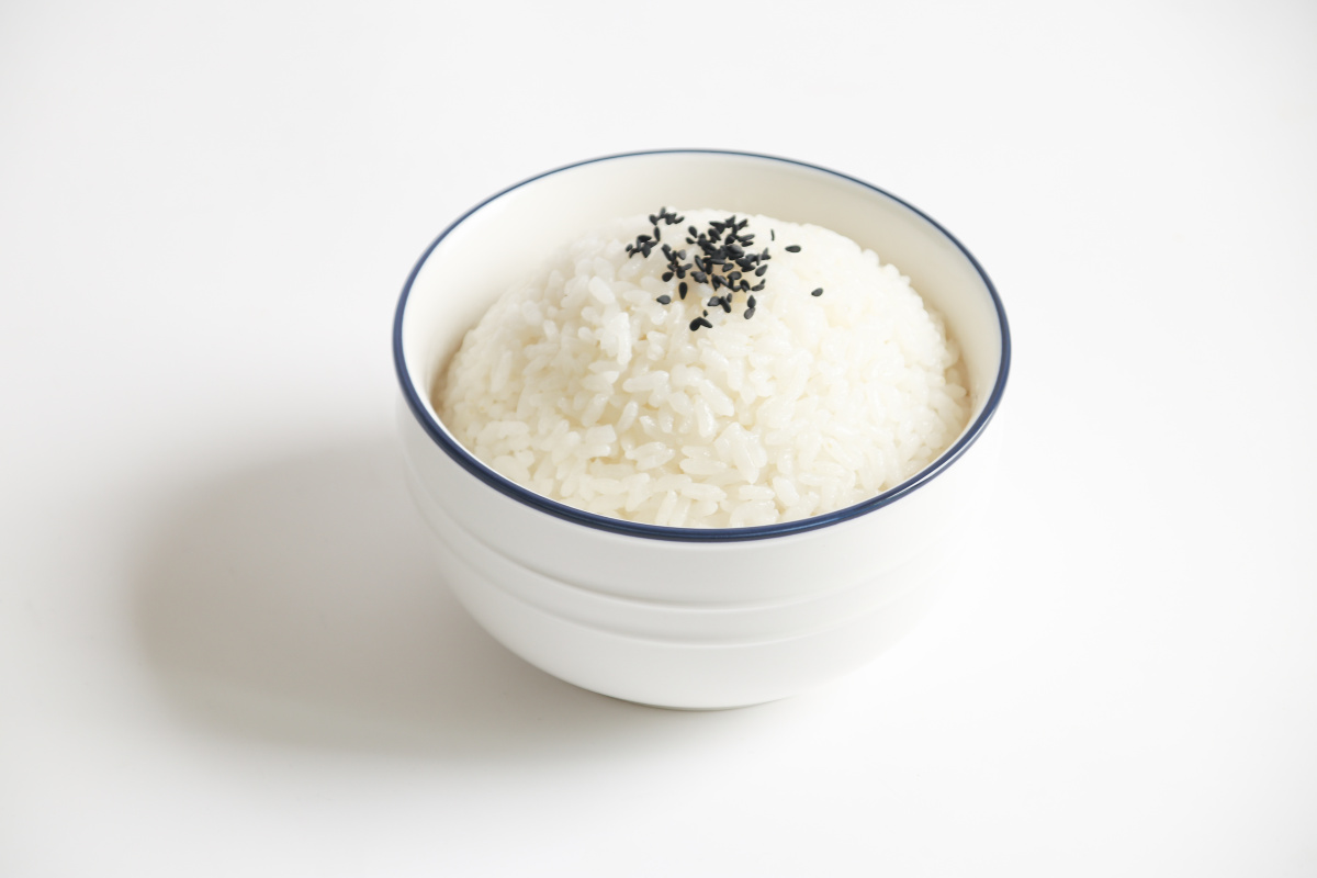 米饭- 奔跑中的nico - 图虫网 - 优质摄影师交流社区