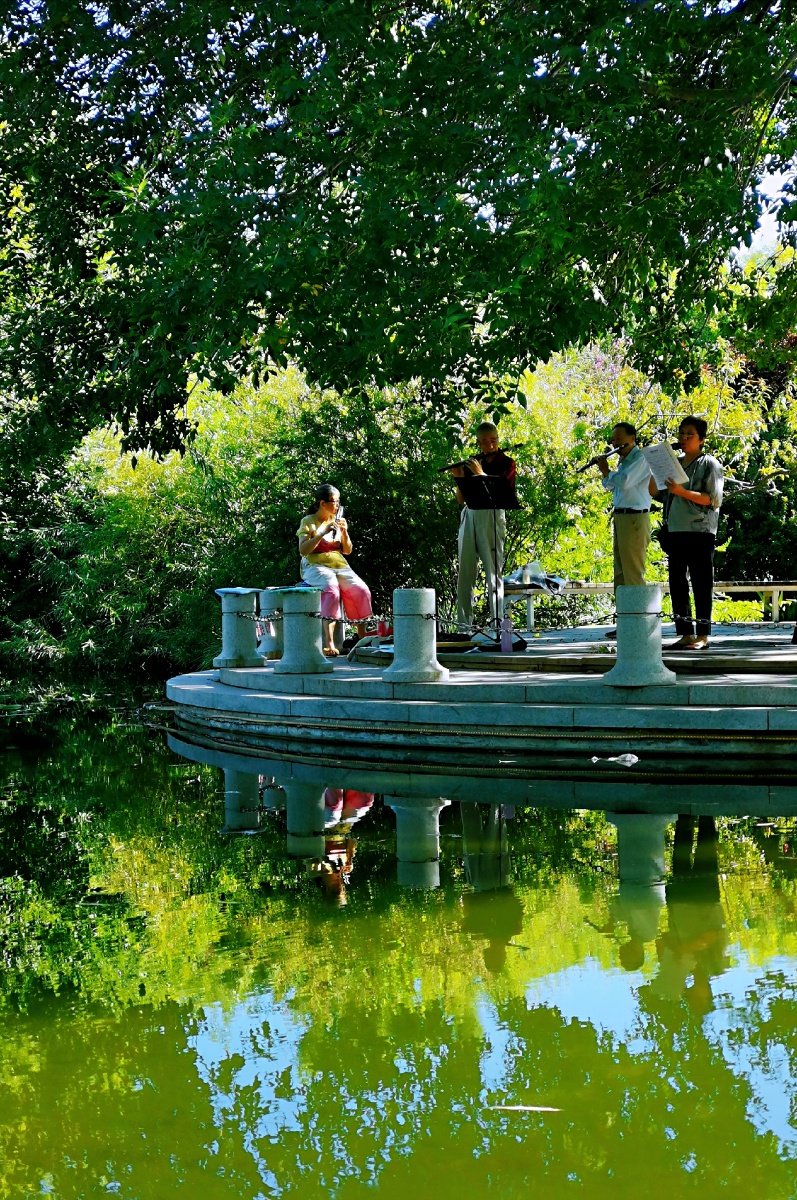 公园里晨练的老年人
