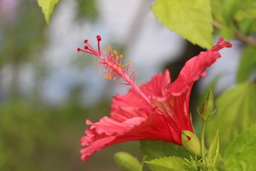 IMG_0535.JPG