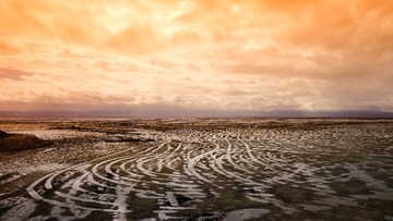 _DSC2148