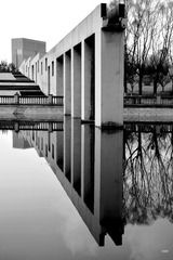 DSC_5392_