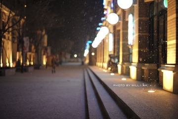 ゆき 雪