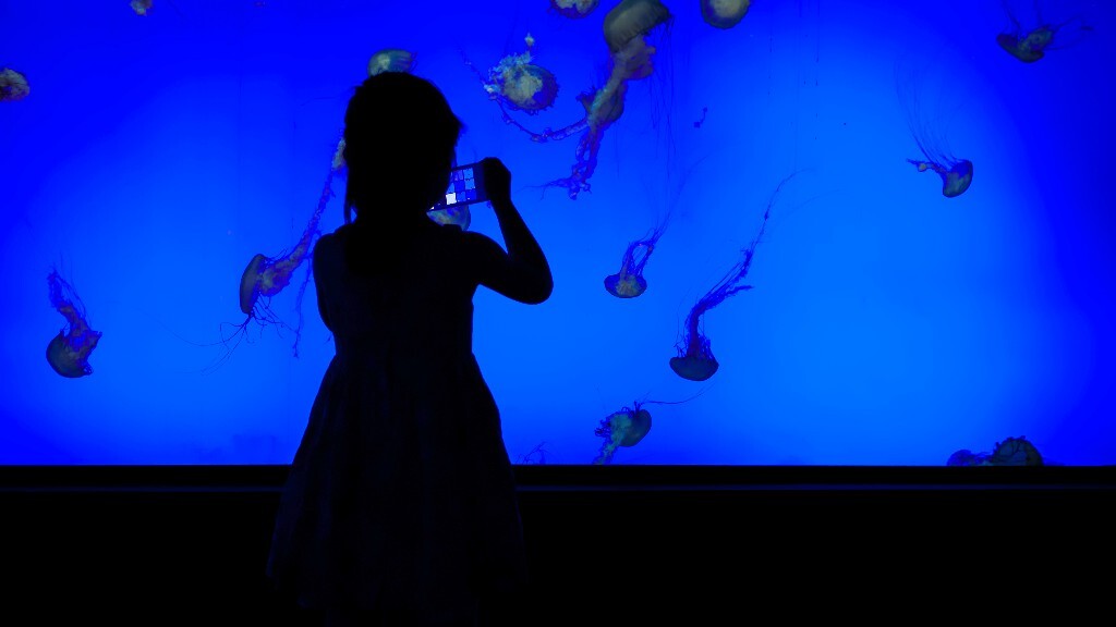 上海水族馆