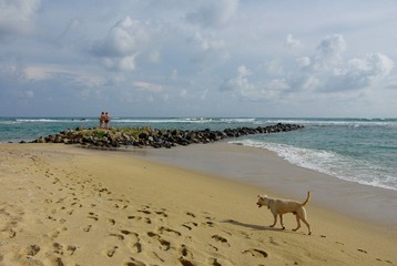 IMGP3244.jpg
