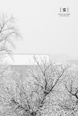 [雪]