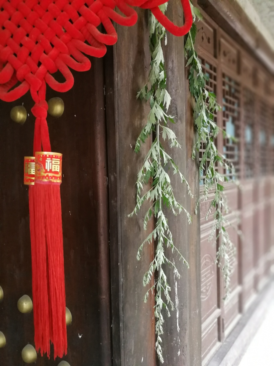 端午安康,亲自采来的艾草挂在自家门楣