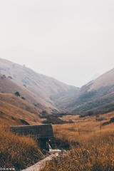 2647332
