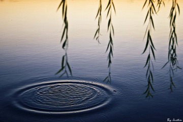 IMG_5506上传.jpg