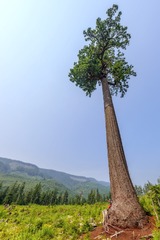 IMG_3697传.jpg