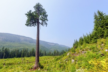 IMG_3657传.jpg