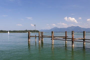 C12