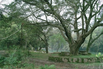 SDIM1860
