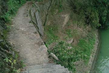SDIM1906