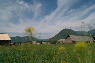 SDIM2836