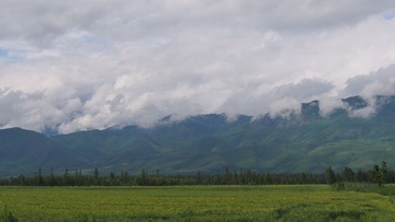 P7050522