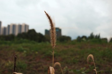 CF136325-32E2-41EB-BD84-C02ED61F3654/L0/001