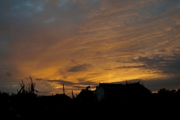 944F409B-584C-4B95-8454-3F8F318DF469/L0/001