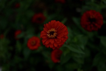 34DF58F5-9584-41B3-B93D-07E995B13902/L0/001