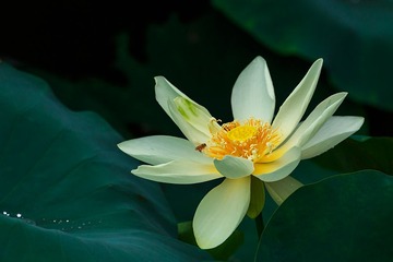 _MG_1837-编辑.jpg