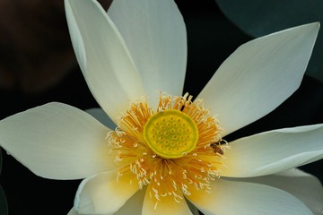 _MG_1840-编辑.jpg