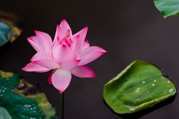 _MG_1844-编辑.jpg
