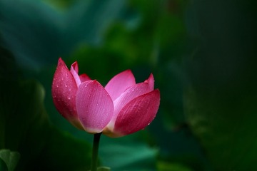 _MG_1863-编辑.jpg