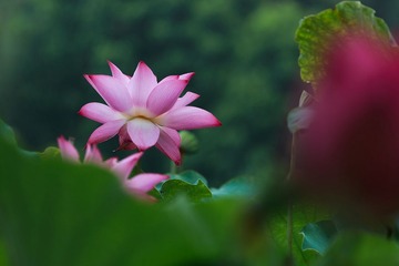 _MG_1878-编辑.jpg