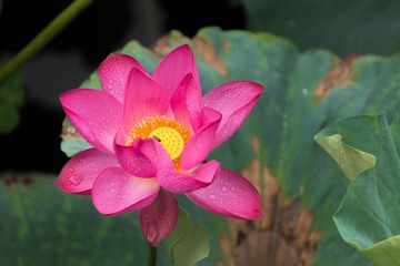 _MG_1897-编辑.jpg