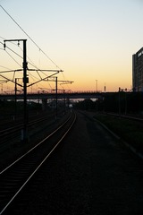 1000065942