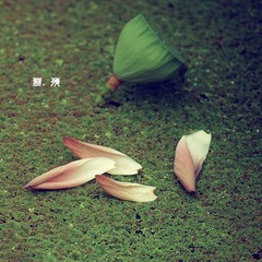 荷1