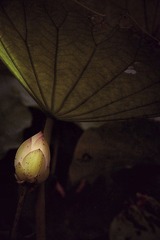 DSC_1876.jpg