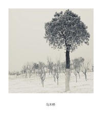马木桥 雪