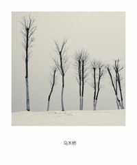 马木桥 雪