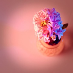 20110214-_DSC0164