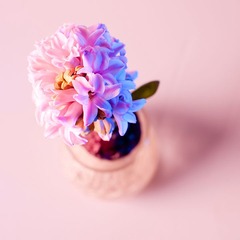 20110214-_DSC0169