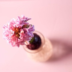 20110214-_DSC0184
