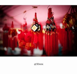 20110215-_DSC0233