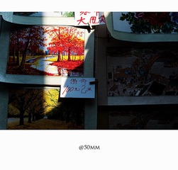20110215-_DSC0281