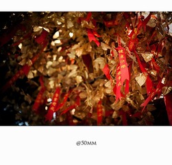 20110215-_DSC0297