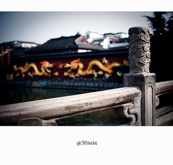 20110215-_DSC0303