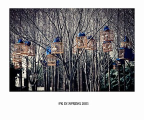 pk