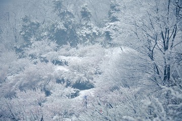 _L3A9435