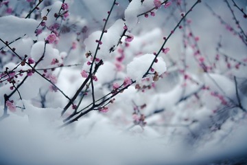 _L3A9445