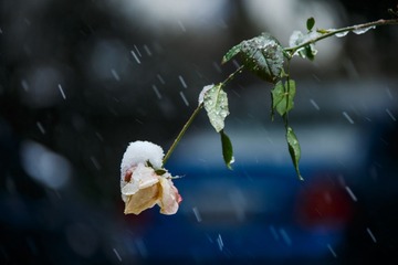 _L3A9500