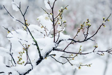 _L3A9621