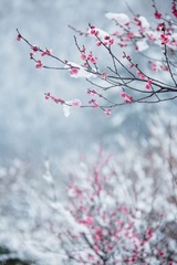 _L3A9814