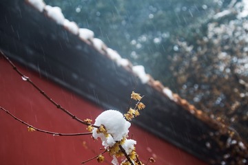 _L3A9861