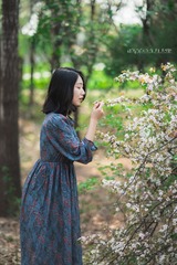 1706038