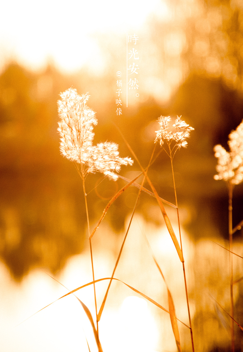 时光安然岁月静好